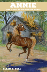 Annie: The Mysterious Morgan Horse