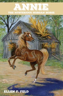 Annie: The Mysterious Morgan Horse by Ellen F. Feld