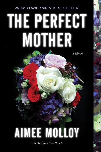 The Perfect Mother