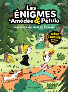 Les énigmes d'Amédée et Pétula, Tome 02 by Claire Clément & Marion Piffaretti