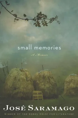 Read: Book Small Memories