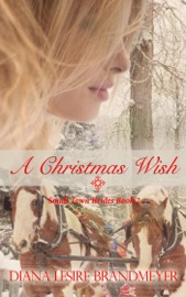 A Christmas Wish - Diana Lesire Brandmeyer