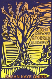 The Day We Stopped Burning - Susan Kaye Quinn