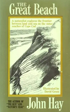 The Great Beach