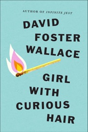 Girl With Curious Hair - David Foster Wallace
