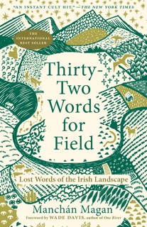 Thirty-Two Words for Field by Manchán Magan