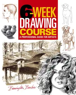 6-Week Drawing Course