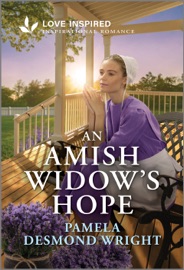 An Amish Widow's Hope - Pamela Desmond Wright
