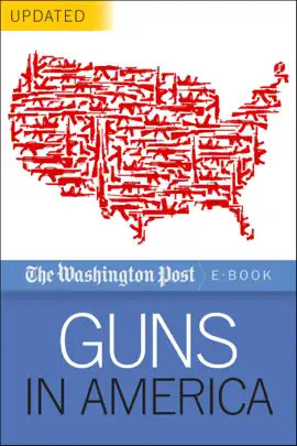 Guns in America