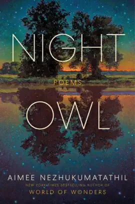 Night Owl