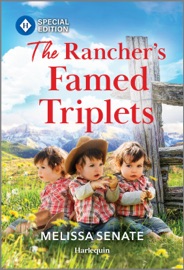 The Rancher's Famed Triplets - Melissa Senate