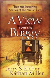 A View from the Buggy - Jerry S. Eicher & Nathan Miller