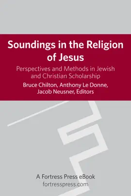 Read: Soundings in the Religion of Jesus Book