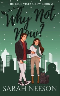 Why Not Now? by Sarah Neeson