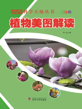 Read: 科学天地丛书:植物美图解读