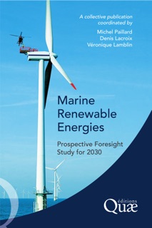 Marine Renewable Energies by Ouvrage collectif, Michel Paillard, Denis Lacroix & Véronique Lamblin