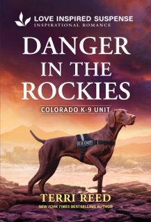Danger in the Rockies by Terri Reed