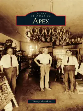 Read: Apex