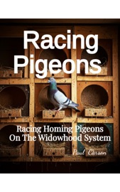 Racing Pigeons - Paul Carson