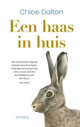 Een haas in huis