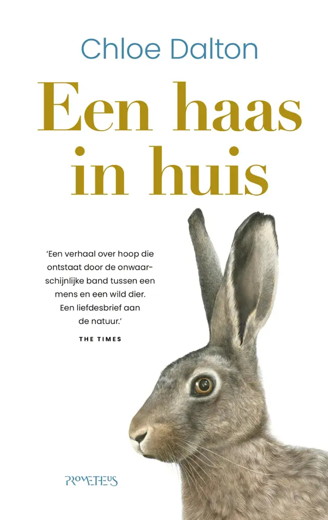 Een haas in huis
