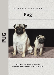 Pug by Juliette Cunliffe
