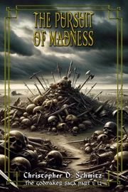 The Pursuit of Madness - Christopher Schmitz