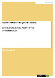 Identifikation und Analyse von Prozessrisiken - Trambo, Müller, Regele & Sontheim