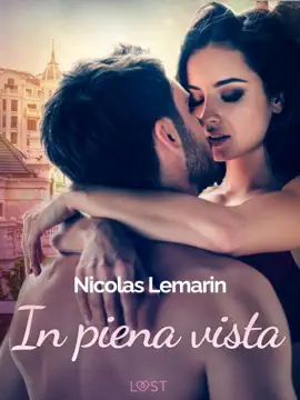 In piena vista – racconto erotico