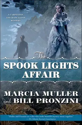 Read: The Spook Lights Affair Book
