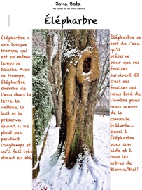 Élépharbre - Jona Bota