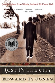 Lost in the City - Edward P. Jones