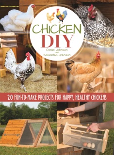 Chicken DIY by Samantha Johnson
