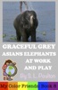 Book Graceful Grey, Asian Elephants at Work and Play