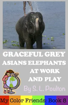 Graceful Grey, Asian Elephants at Work and Play