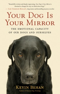Your Dog Is Your Mirror by Kevin Behan