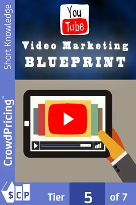 Read: Video Marketing Blueprint Book
