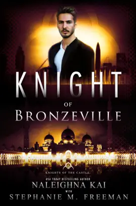 Read: Knight of Book Bronzeville