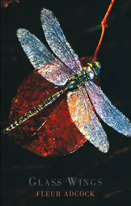 Read: Glass Book Wings
