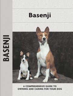 Basenji by Juliette Cunliffe