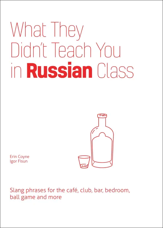 What They Didn't Teach You in Russian Class