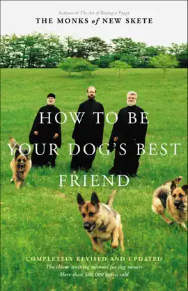 How to Be Your Dog's Best Friend