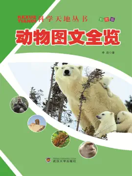 Read: 科学天地丛书:动物图文全览