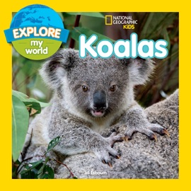 Explore My World: Koalas - Jill Esbaum