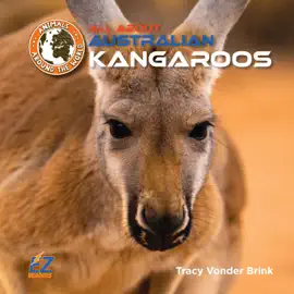 All About Australian Kangaroos
