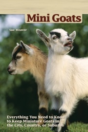 Mini Goats - Sue Weaver