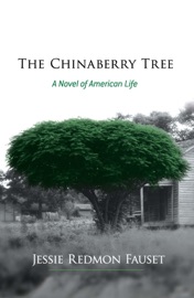 The Chinaberry Tree - Jessie Redmon Fauset