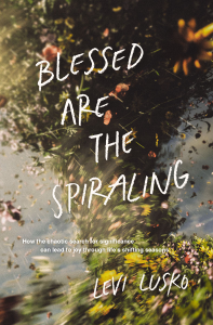 Blessed Are the Spiraling - Levi Lusko Cover Art