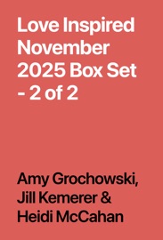 Love Inspired November 2025 Box Set - 2 of 2 - Amy Grochowski, Jill Kemerer & Heidi McCahan