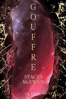 La trilogie des glaces (Tome 2) - Gouffre by Stacey McEwan